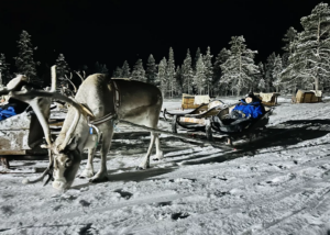 北歐極光旅遊行程，馴鹿雪橇慢行。