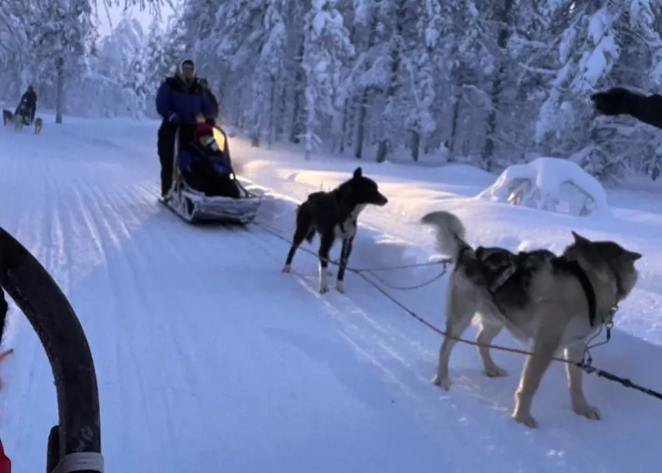 北歐旅遊行程，哈士奇雪橇急行。