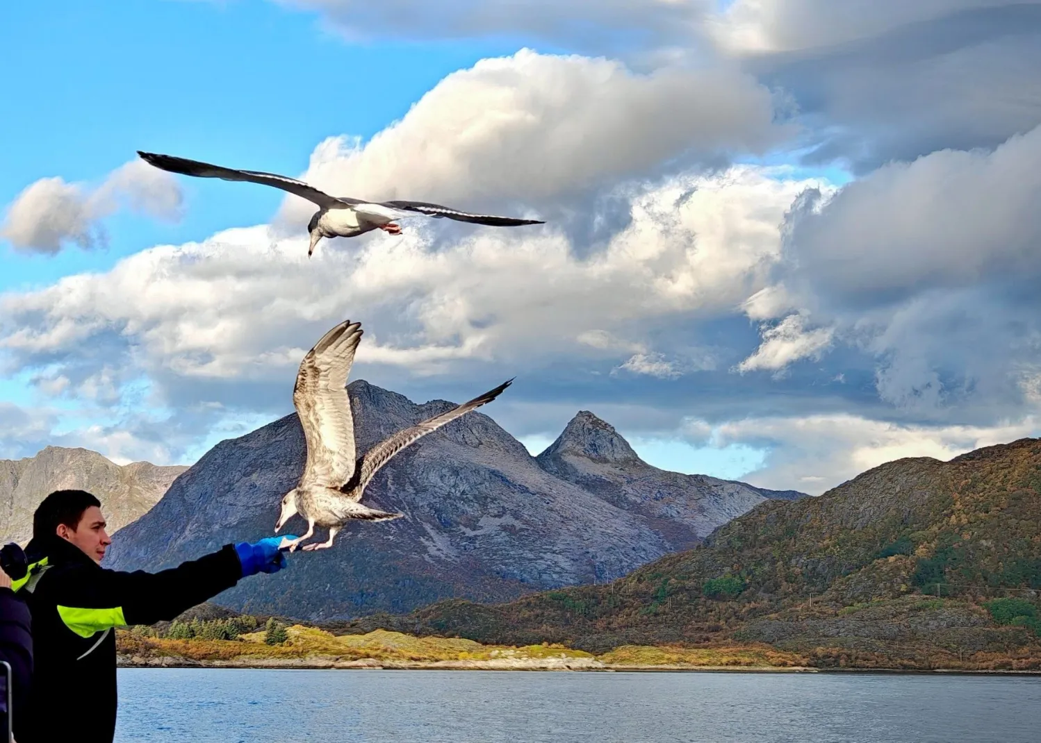 羅浮敦海鷹狩獵02