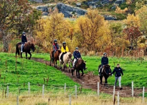 羅浮敦 騎馬體驗3