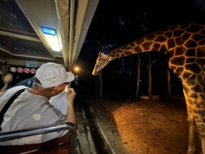泰國旅遊，夜間探訪動物園