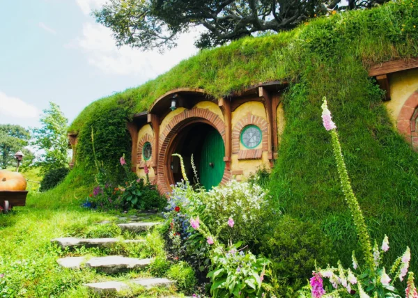 紐西蘭 瑪塔瑪塔MataMata區Hobbiton 哈比村