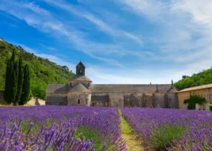 南法 塞農克修道院 Abbaye de Senanque