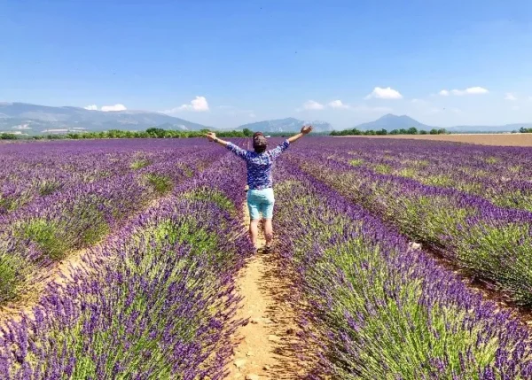 南法 瓦倫索爾Plateau de Valensole