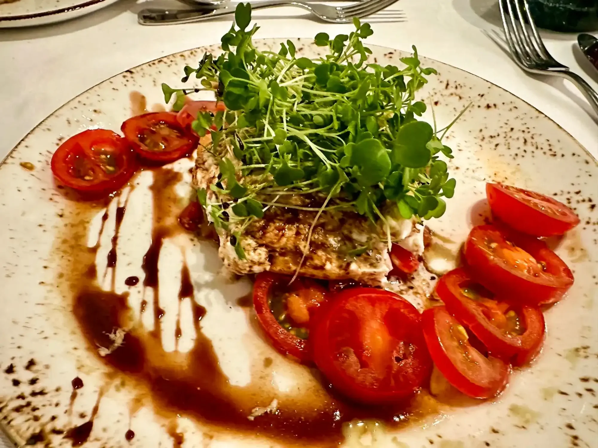 奧捷 餐食_5