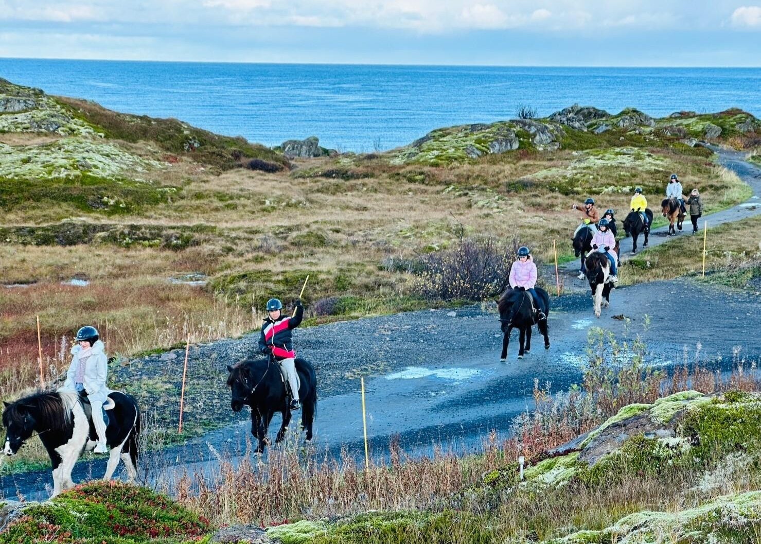 Lofoten Links Lodges飯店活動3