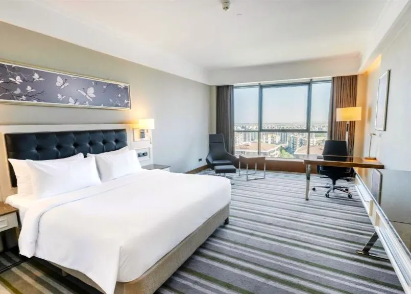 土東五星住宿Radisson Blu Hotel Diyarbakir