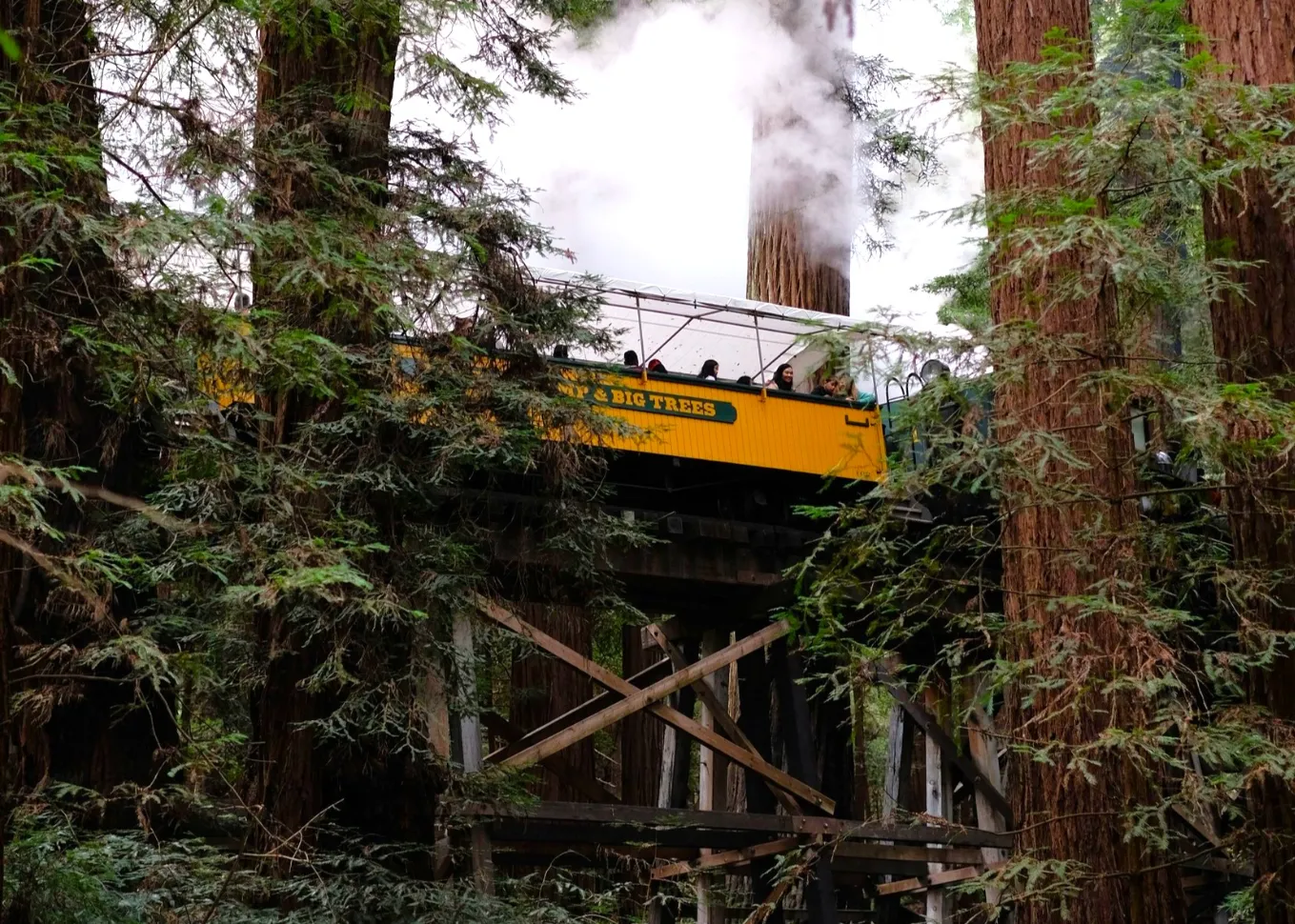 美西 Roaring Camp 紅木森林蒸汽火車 (1)