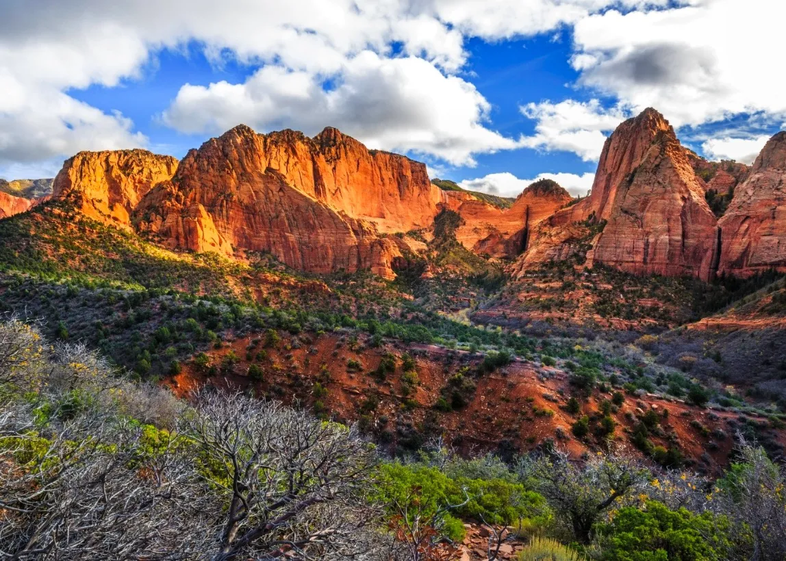 美西 錫安國家公園Zion National Park (1)