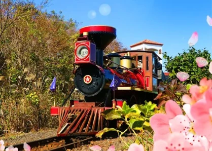 韓國濟州島 ECOLAND 森林小火車