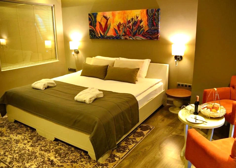 土耳其 帕穆嘉麗多加保健Spa酒店DOGA Thermal SPA Hotel (5)